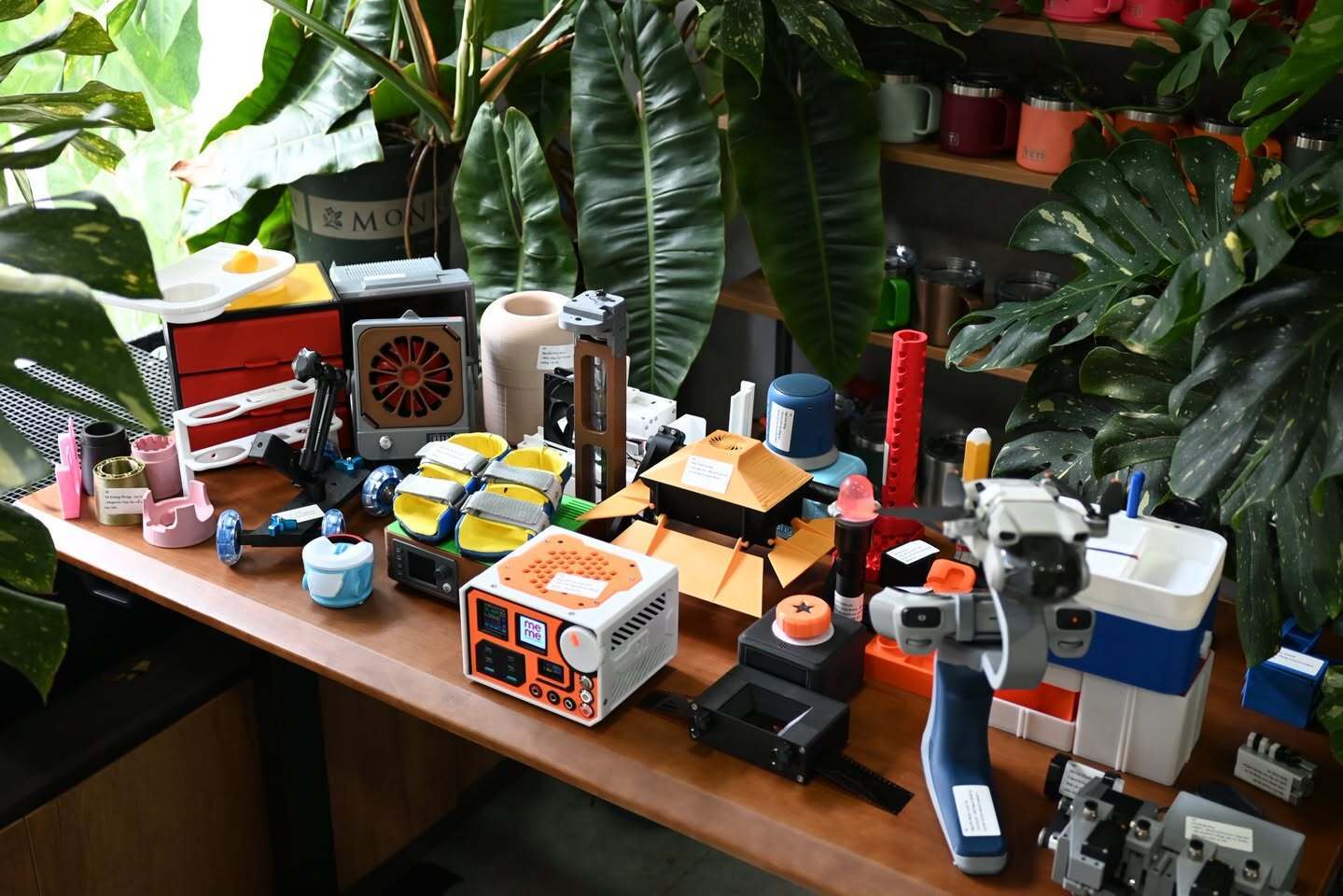 496254223-999976205618039-1858425789924044747-n